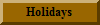 Holiday costumes
