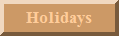 Holiday costumes
